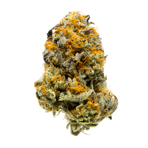 Clockwork Pineapple sativa cannabis strain golden-green bud tropical pineapple flavor First State Gardens Delaware - Wilmington Milford Bethany Beach Georgetown Seaford dispensaries
