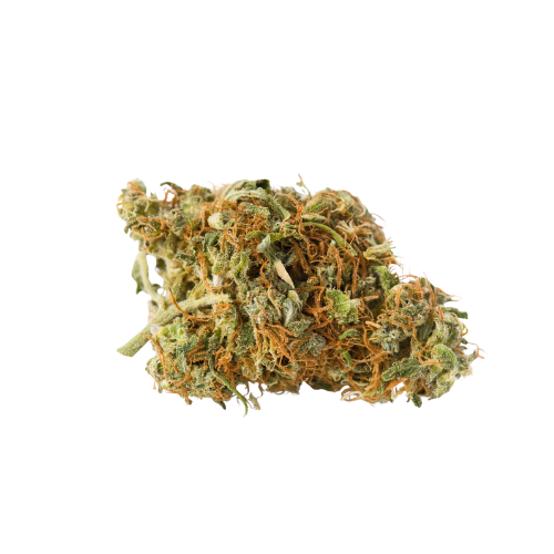 Grape Soda balanced hybrid cannabis strain purple-frosted dense bud grape candy vanilla flavor First State Gardens Delaware - Lewes Millsboro Middletown Rehoboth Beach dispensaries