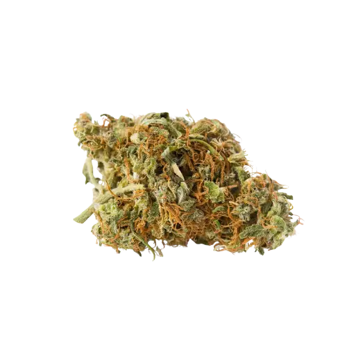 Grape Soda balanced hybrid cannabis strain purple-frosted dense bud grape candy vanilla flavor First State Gardens Delaware - Lewes Millsboro Middletown Rehoboth Beach dispensaries