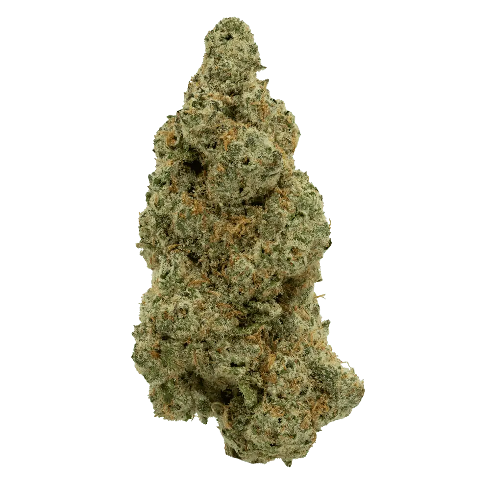 Mule Fuel knockout indica cannabis strain dense frost-covered bud earthy pine funky aroma First State Gardens Delaware - Bear Lewes Middletown Dover Harrington dispensaries