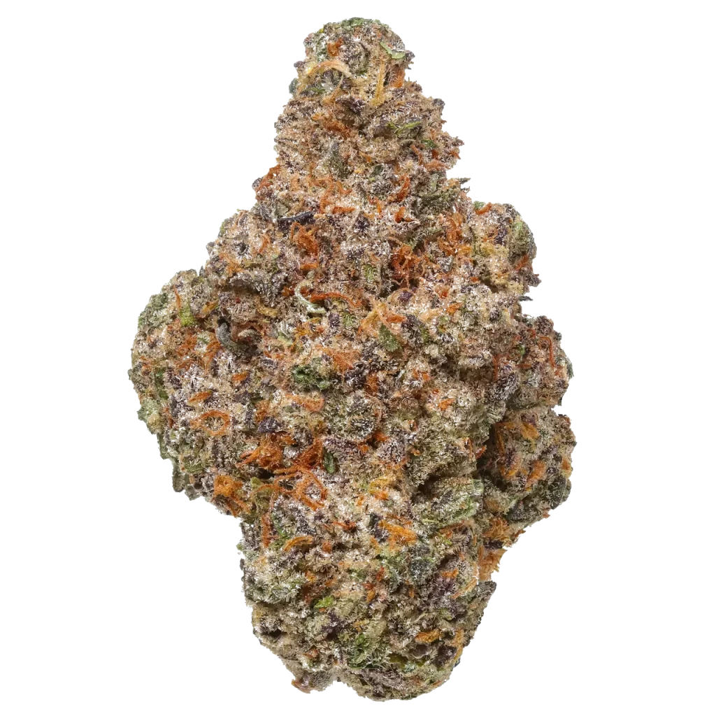 Rancid Rainbow cannabis strain premium indoor flower dense frosty buds with orange hairs and purple hues by First State Gardens