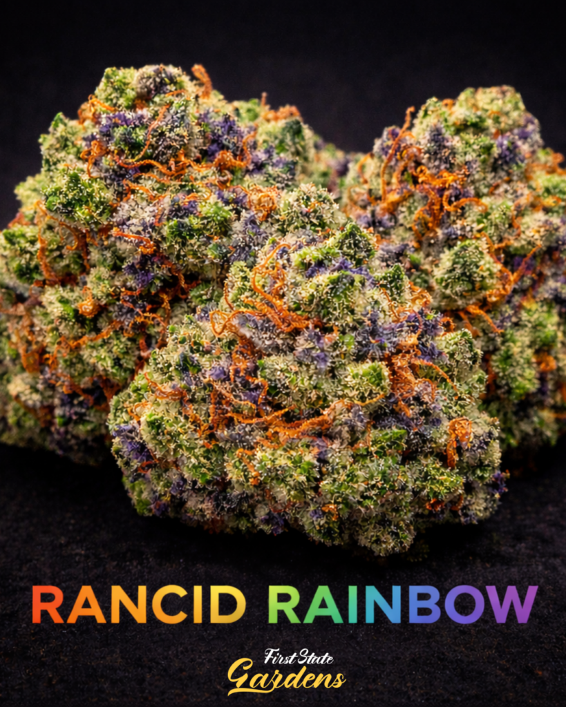Rancid Rainbow cannabis strain by First State Gardens featuring frosty emerald green buds with purple undertones and orange hairs, premium indoor flower in Delaware